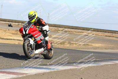 media/Nov-03-2024-TrackDaz (Sun) [[44580f4982]]/B Group/1220pm (Wheelie Bump)/